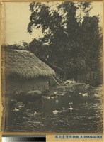 藏品(農家一景)的圖片